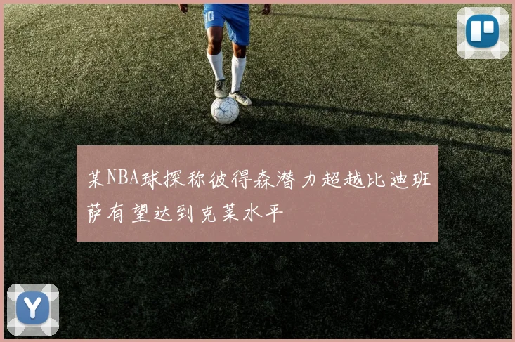 某NBA球探称彼得森潜力超越比迪班萨有望达到克莱水平
